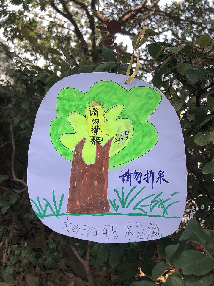 幼儿园护树牌图片图片